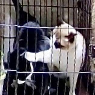 7f9c7d30 ceaa 4763 b095 f54b04c26743 1734205761676