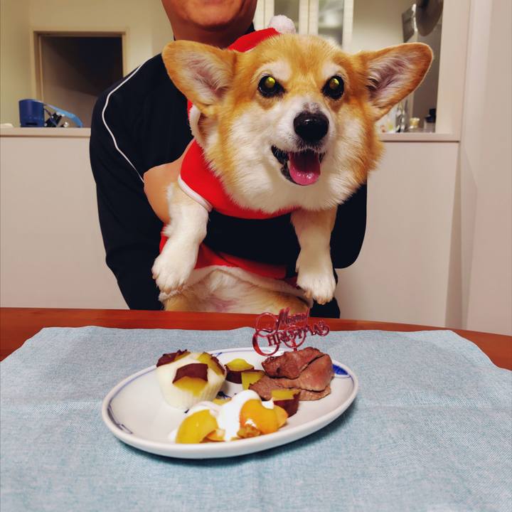 7f9ca78f 0e97 49c9 a761 e6598f916bb0 1766375122604