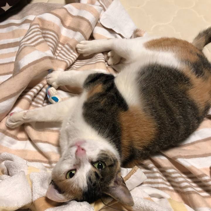 7f9d35bb bd09 4799 af20 f4c0106e7737 1578315725097