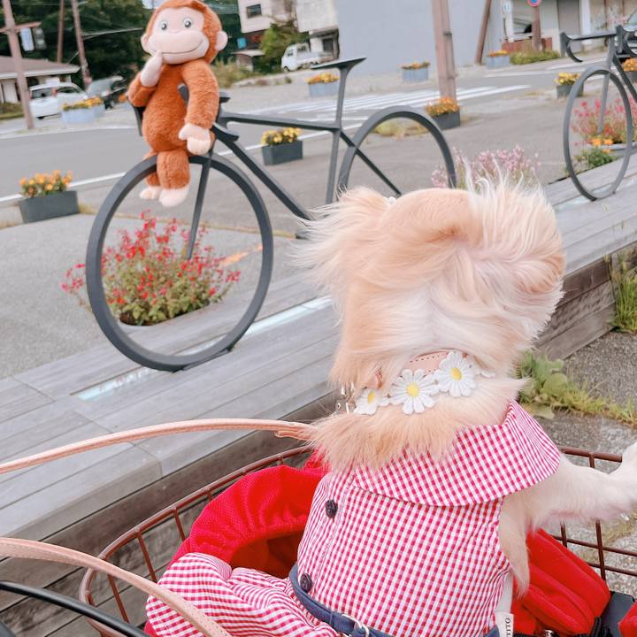 7f9d53d0 ca81 4f3c a9f5 577661190a3a 1662296576686