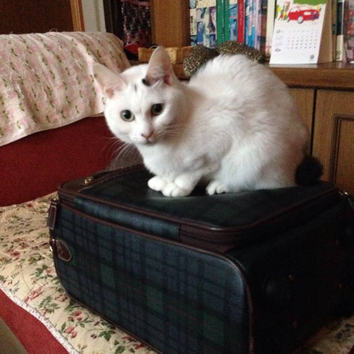 7f9d6d4c 6ce5 4360 9333 ff5dfdf17423 1514155890751