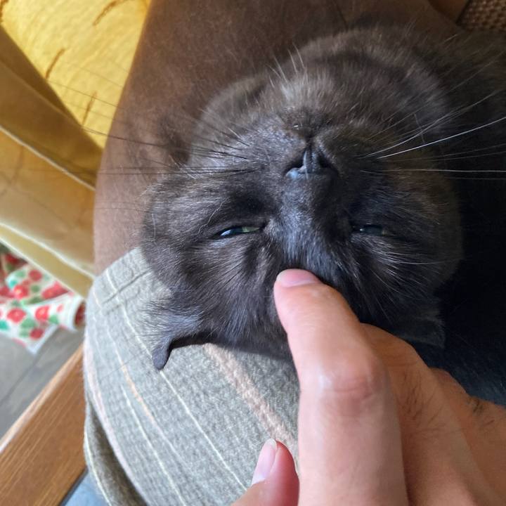 7f9dbd91 de4b 4b91 ba51 b44d7d30db80 1593144772566