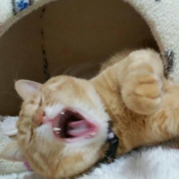 7f9ddb19 edf5 4e4a b50b fa0a4fbfc442 1513643276130