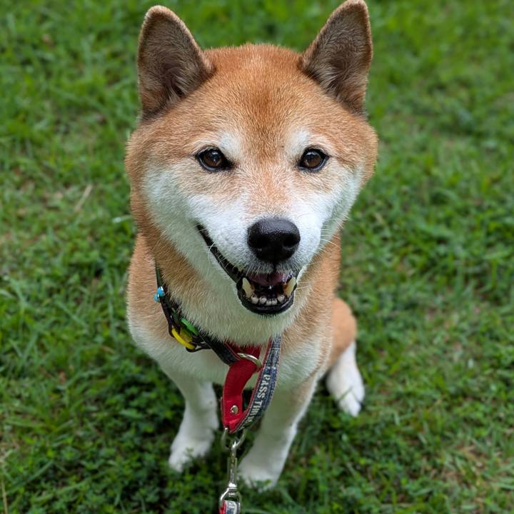 7f9e1567 2c2e 4100 a6f3 e5986dd464c2 1757734316519