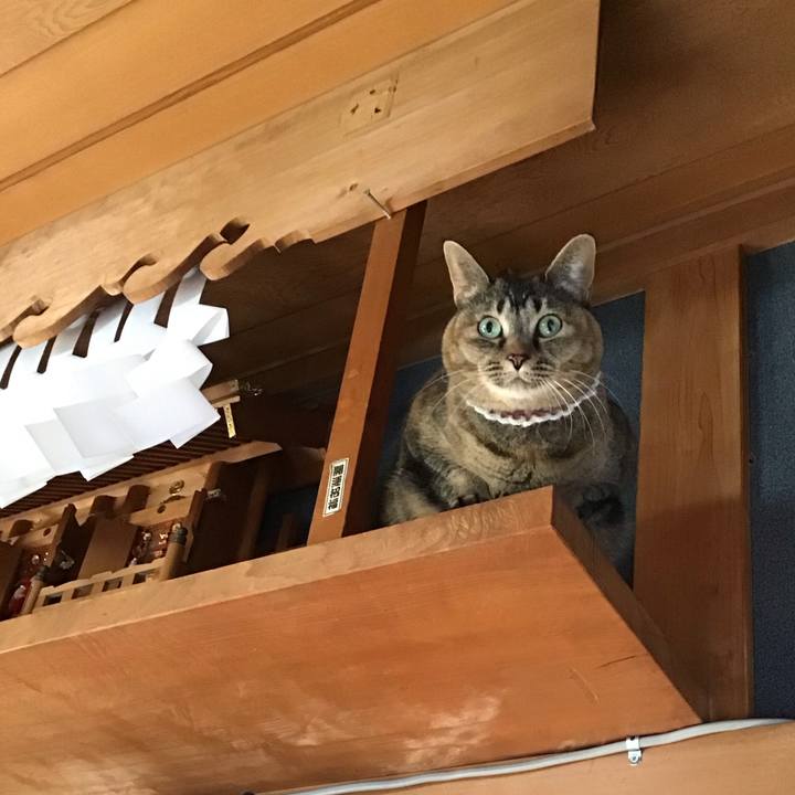 7f9e2ba8 1bb2 43b6 80ee 5bd05d675957 1737966610818