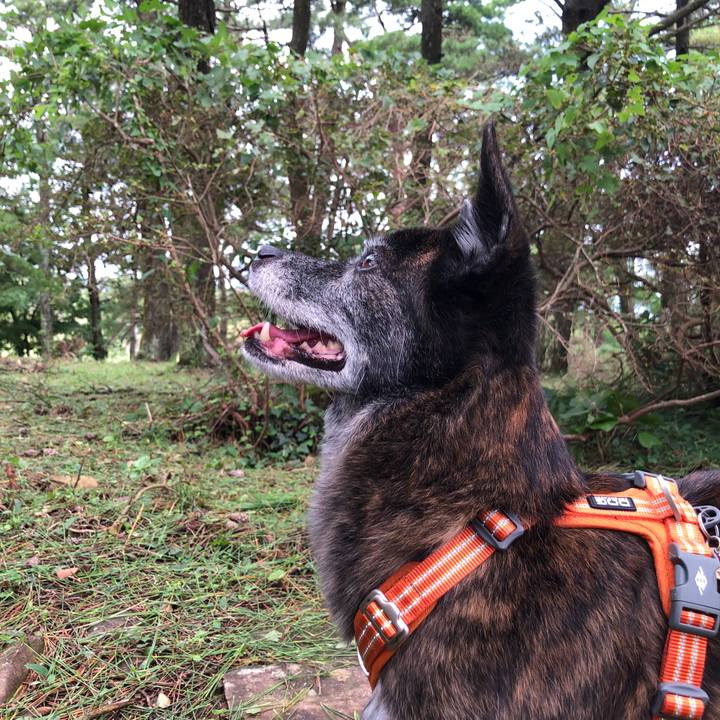 7f9e3498 2137 41b7 a2ff d5dbfd900425 1662709257098