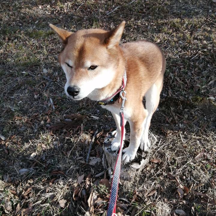 7f9e7568 2813 42fe ac3b 607a59249544 1613212295165