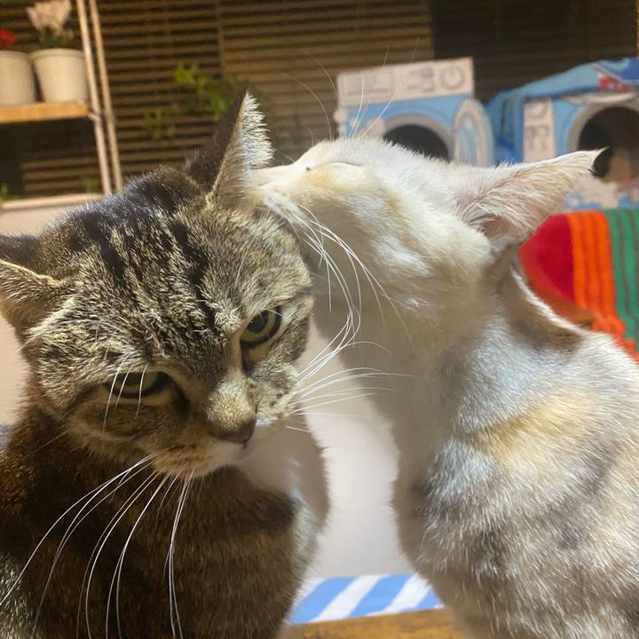 7f9ed921 7fcc 450d b957 7c477f95ec5b 1764515421905