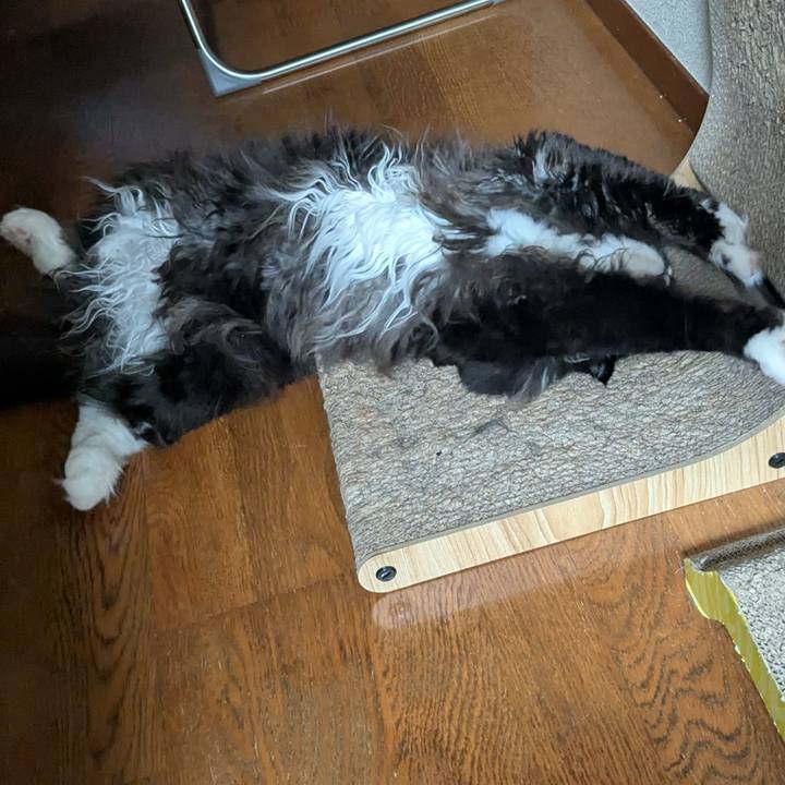 7f9eebe5 66a5 433d 8243 1bb9af86eb2c 1751202435175