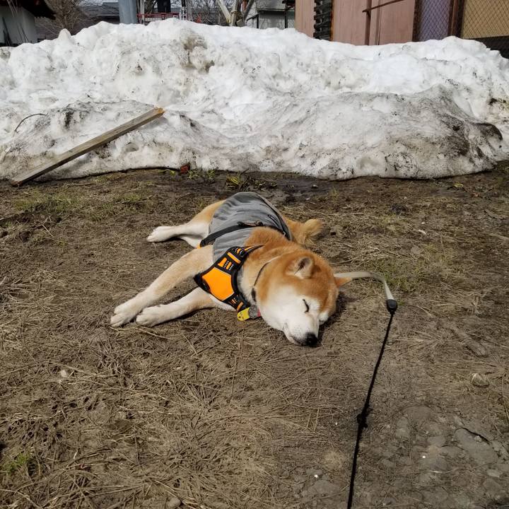 7f9f17d0 d863 486b 80d1 b91ee4a81a03 1616216296401