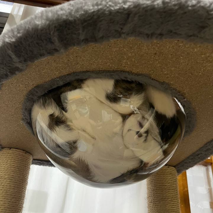 7f9f1add 8dc3 4964 9526 b435e217e449 1765410323956