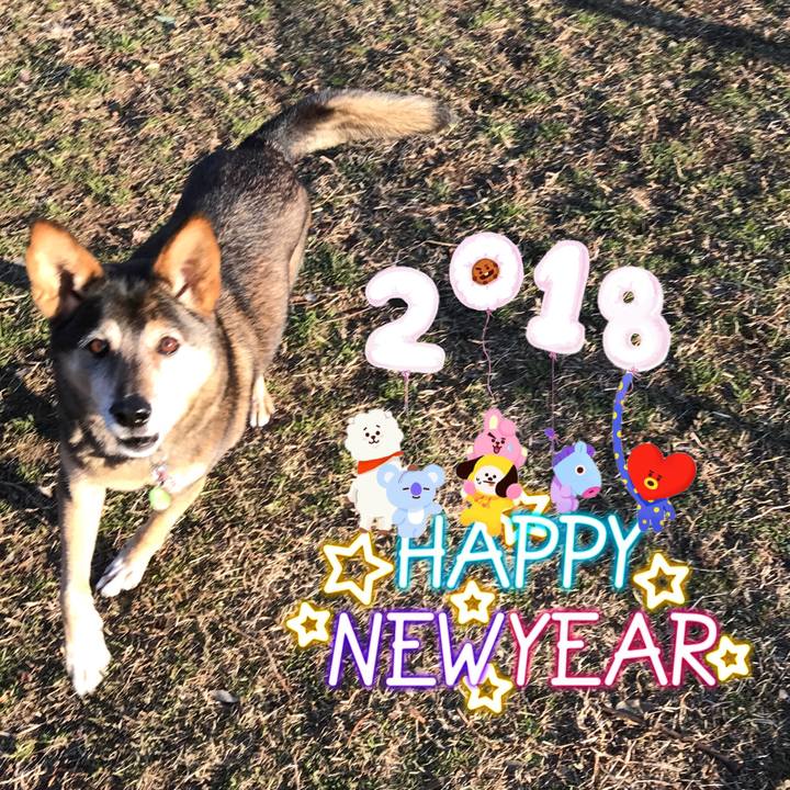 7f9f2554 7400 4fd0 bb7a 22f9dd792999 1514895891050