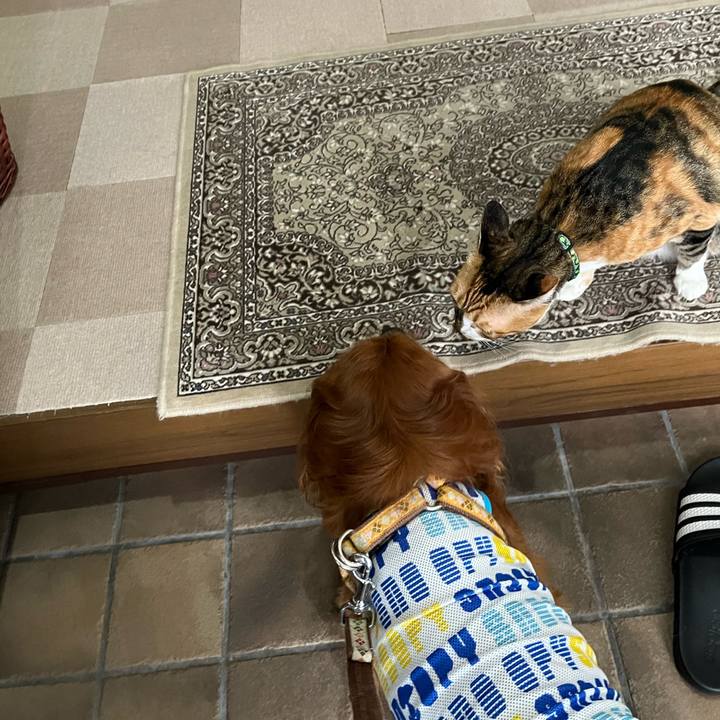 7f9f29d6 5d65 4edb 8ed3 bf9f2aa8907a 1750460750381