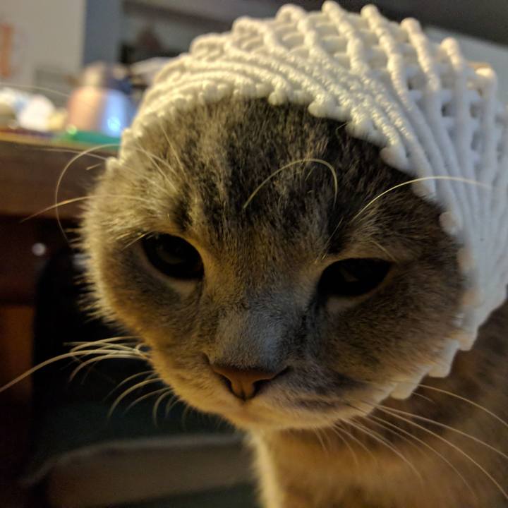 7f9f364e 68e4 4a31 9c51 9b9fbb0501a1 1510637674384