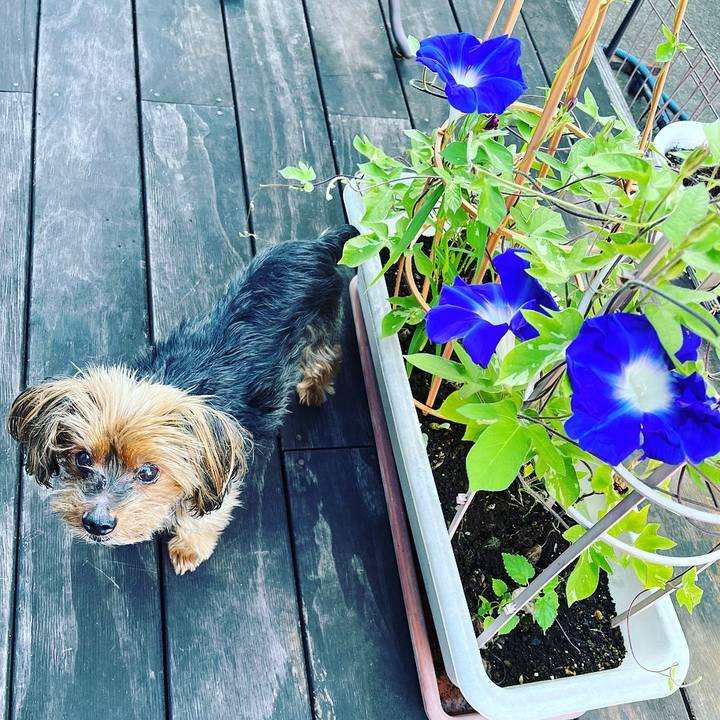 7f9f4297 830d 405e 9d72 81c6054a50c5 1691012355619