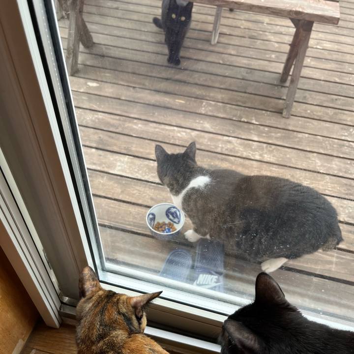 7f9f4b5b 48d3 464b ba4b 6da1093fa5ad 1653254139926