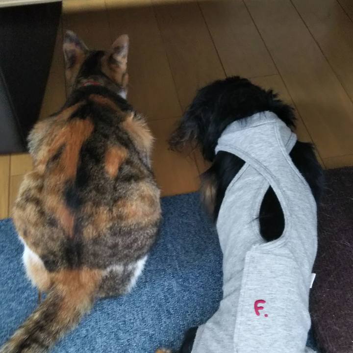 7f9f702c d5fa 46f5 aeba 51514873cd2b 1643848994252