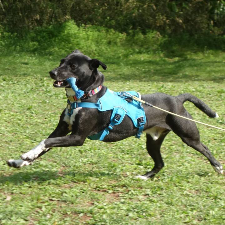 7f9f832e e0a5 4286 965f 1fde1c1dce35 1617839531786