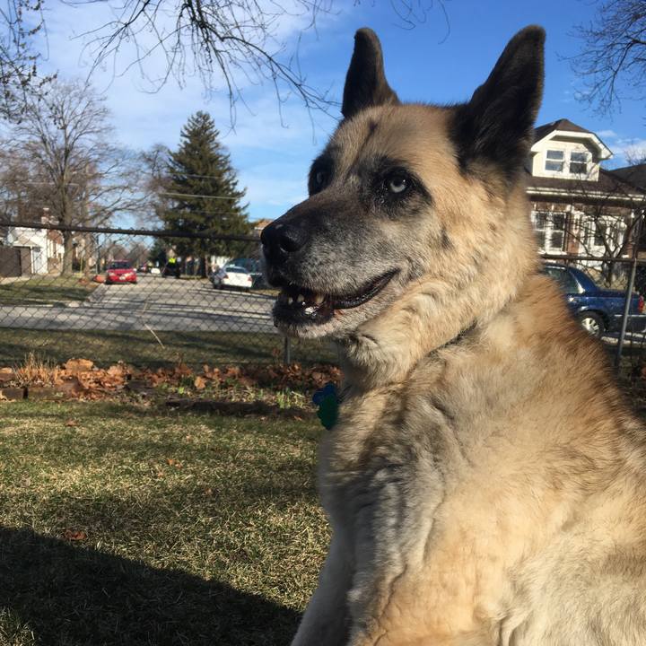 7f9f8507 df5d 49f1 8c31 1f8a24ce749b 1587079456574