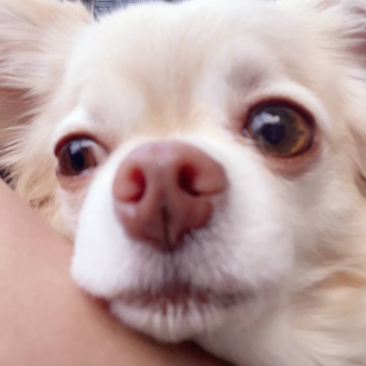 7f9f8788 429b 4079 af59 0d7afa1f35f2 1751797276107