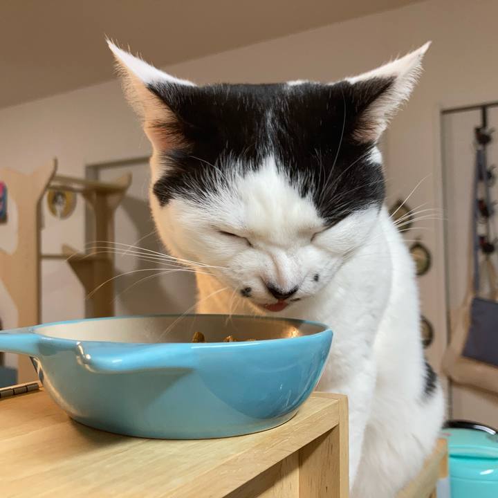 7f9fe0ea 7ec2 4c4c 8e47 0f5b9e86f79f 1768770203923