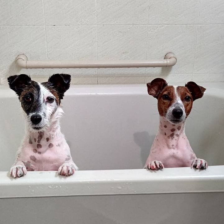 7f9fe10e ffca 4cc9 8232 c052f735cf6b 1666176458142