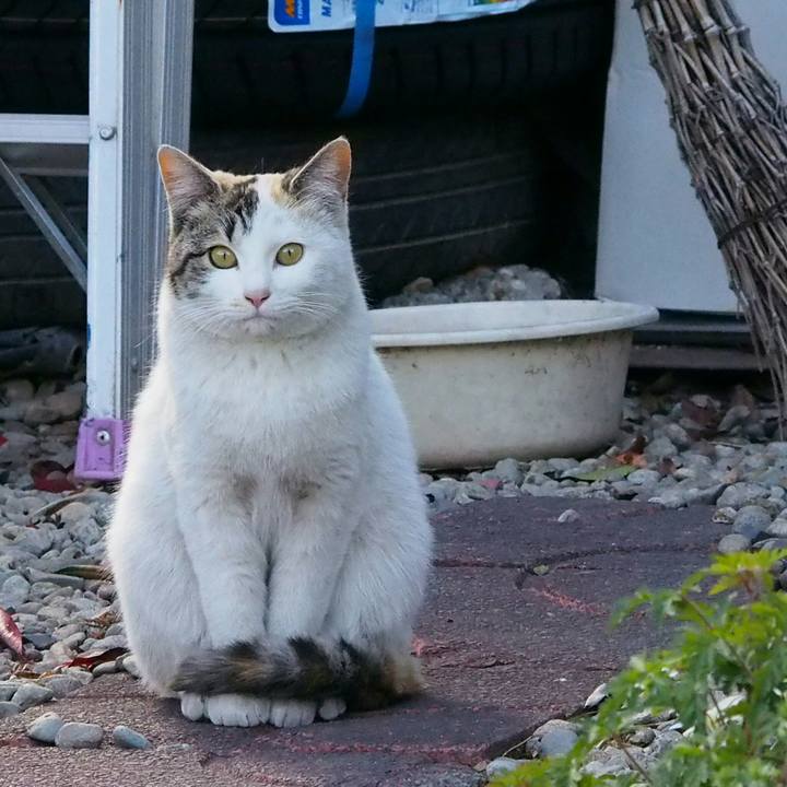 7f9fe3a5 8666 4c74 9788 f1e4d5679cc7 1523187973852