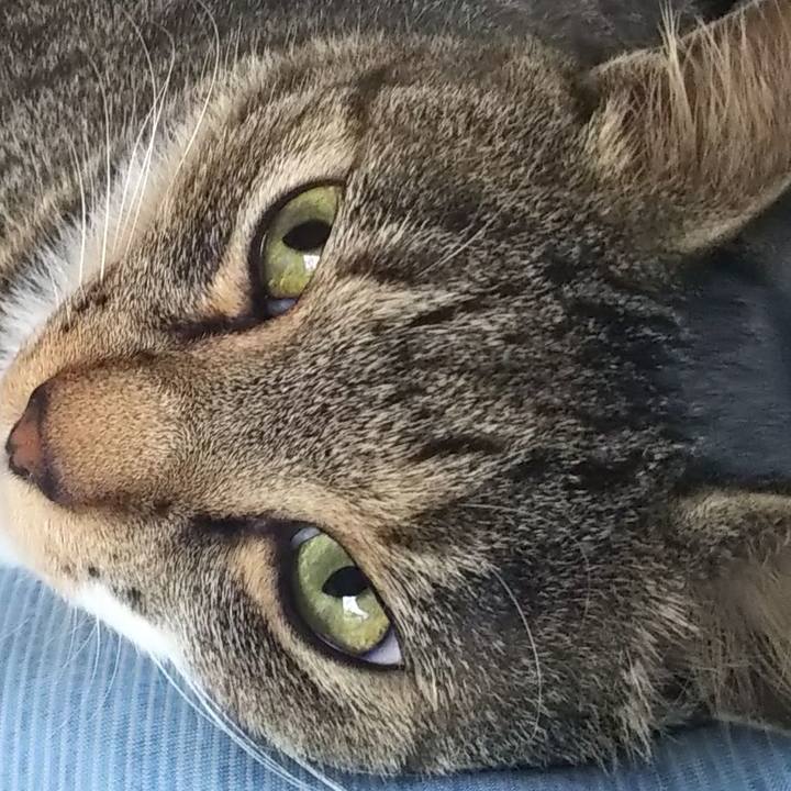 7fa032d9 543a 4a77 94c5 cbf3a13996c3 1603503472370