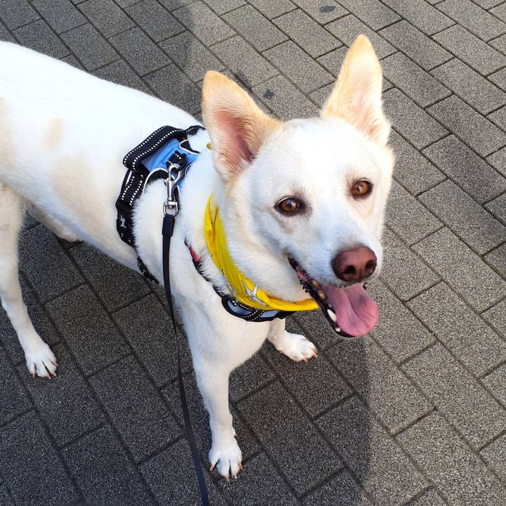 7fa09961 6e2b 46e1 8a7f d7b2d09301cb 1627778228003