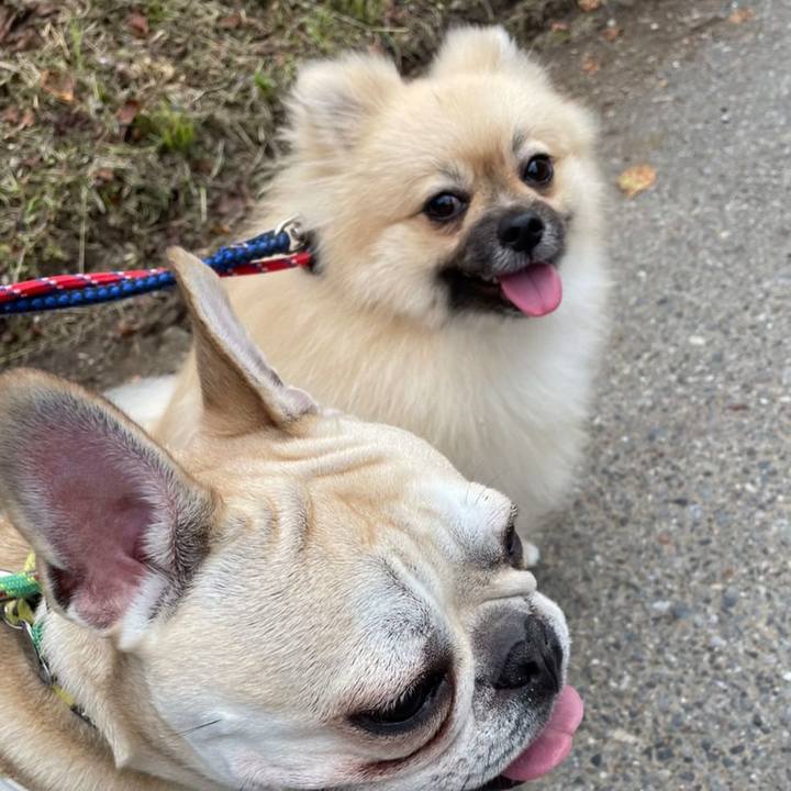 7fa0a44b e29d 45f6 a318 c3c647e02744 1635123284504