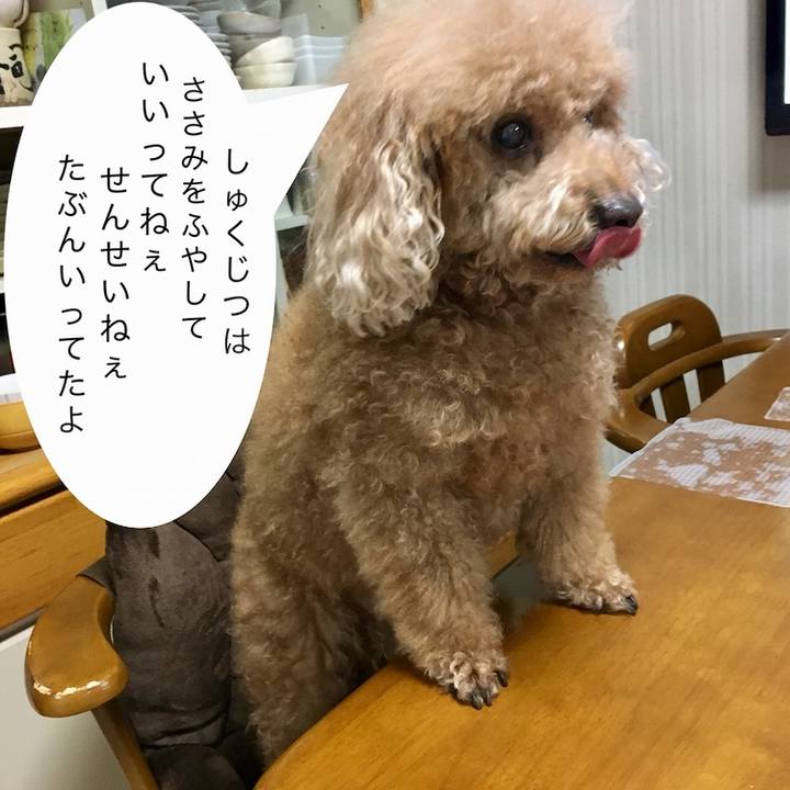 7fa0ba8a a160 41e5 b58c 8cfb6ff96c6a 1518431889451