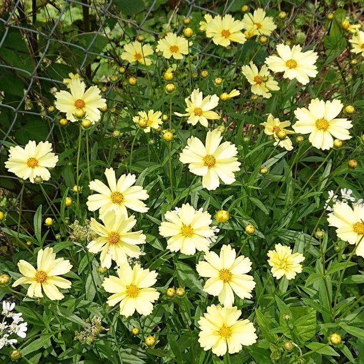 7fa0d972 28ea 47c0 84bf b89d9e96631c 1655264480546