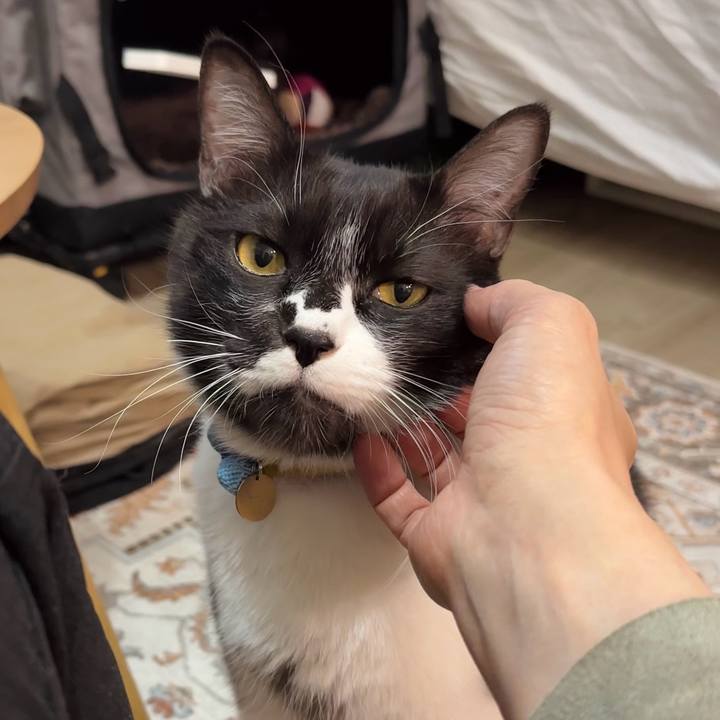 7fa0f00d 577f 411d a792 88d1325291fc 1773912844558