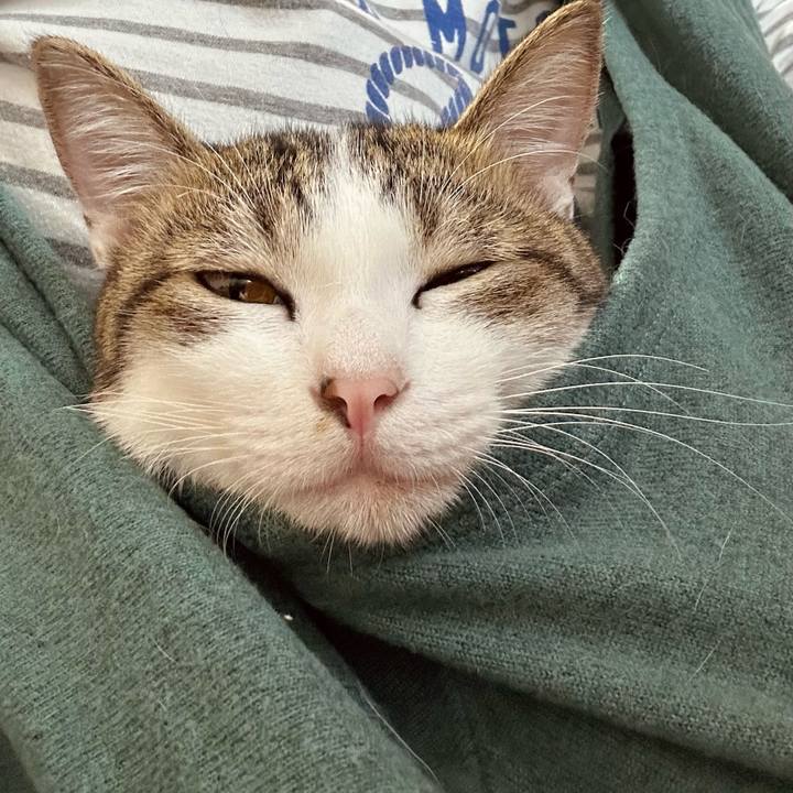 7fa11227 8dc7 4686 96a0 67ece1037e32 1759133686620