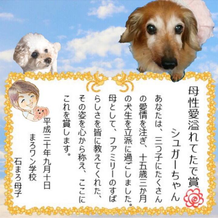 7fa11341 c7d3 4579 9daf dc46d1cd0a8e 1536568901554