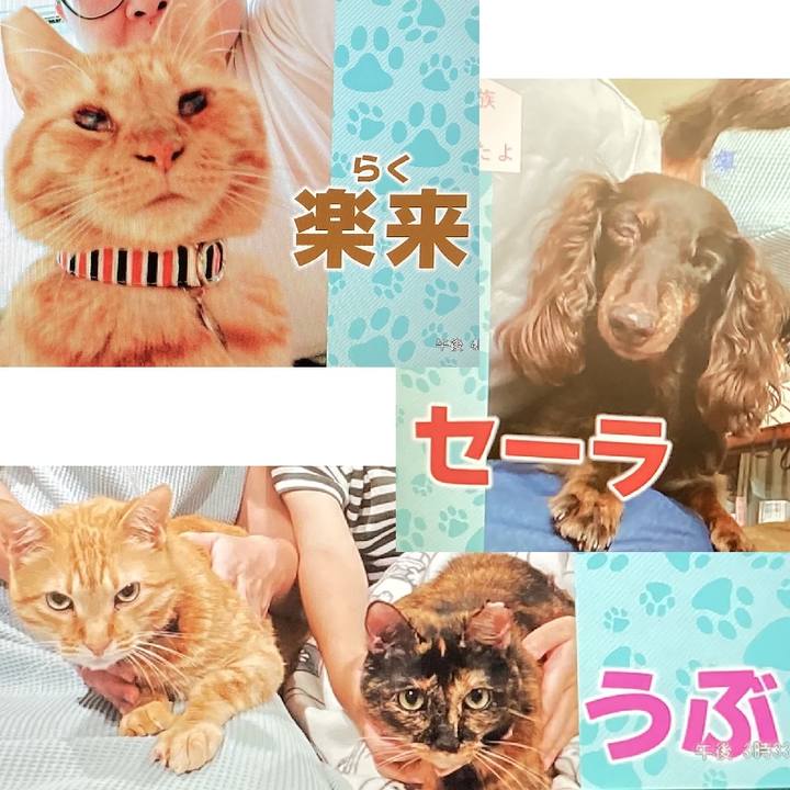 7fa134fc a7e7 4259 85d4 1ebbcdd506d4 1633224787342