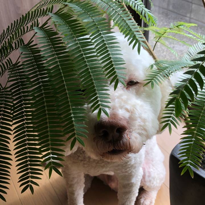 7fa1ab8d ddbd 4c65 b669 8e75d260ce3e 1666333006304