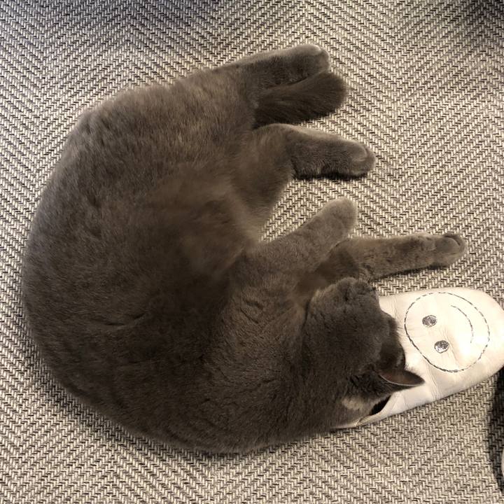 7fa20e07 4e6b 4dae 84b6 f1bfd3bfbcec 1555206558691