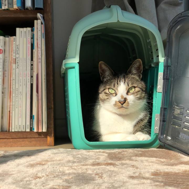 7fa21d9c 6b65 4067 bb80 568e55451ca8 1522275879924