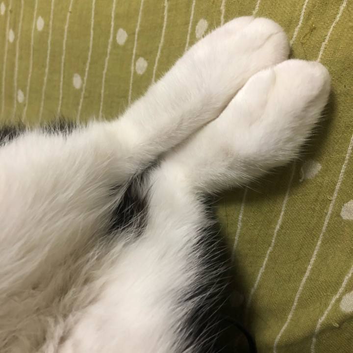 7fa21ea4 7e8a 452c aa85 eab10767e43d 1600442401786