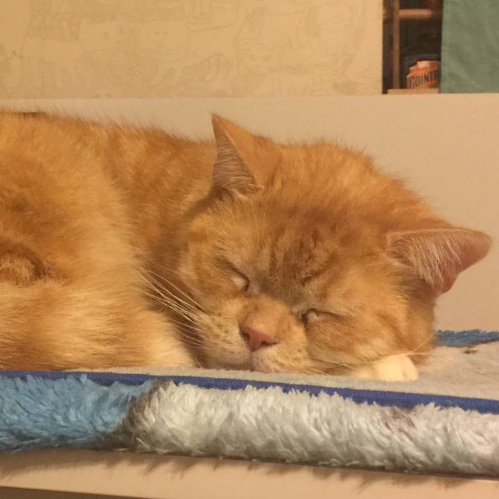 7fa22786 3158 4546 a120 17385d7e9467 1547826478995