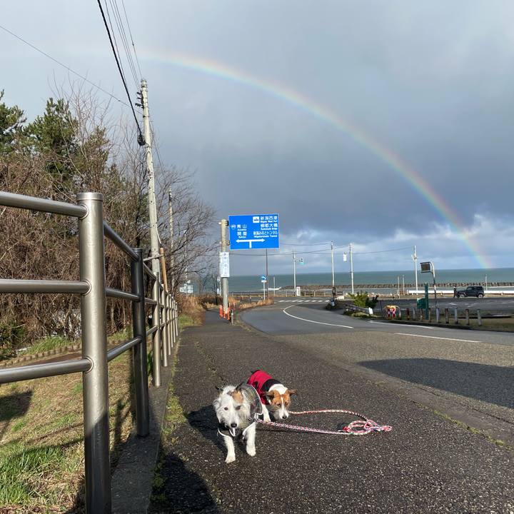 7fa2513c fb7b 479a aadf bd39d3d2b794 1773443748443