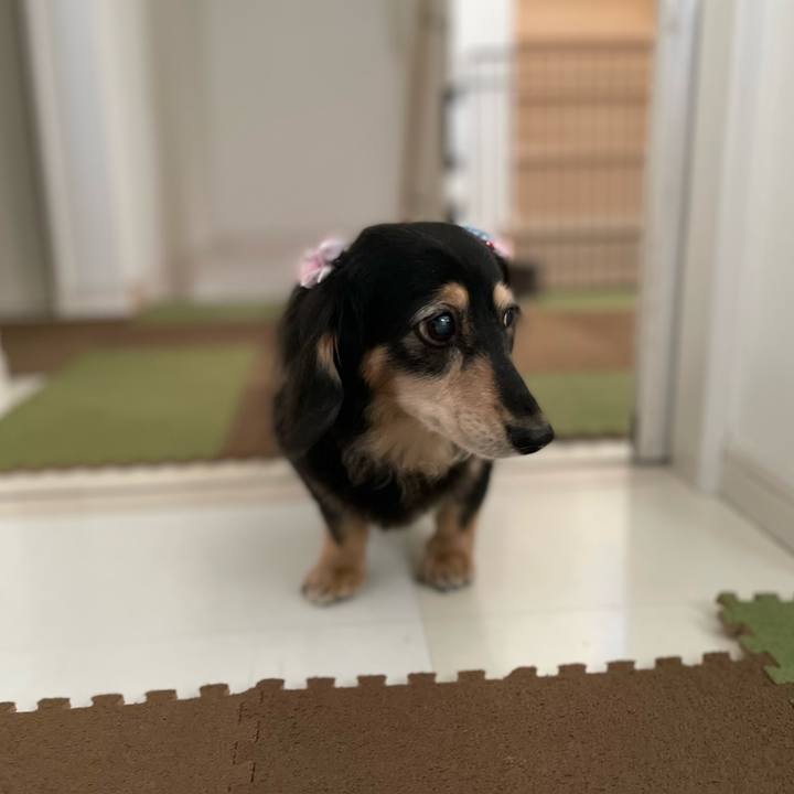 7fa2615e 1ac7 4f86 b969 6af91b1fb137 1660030102134