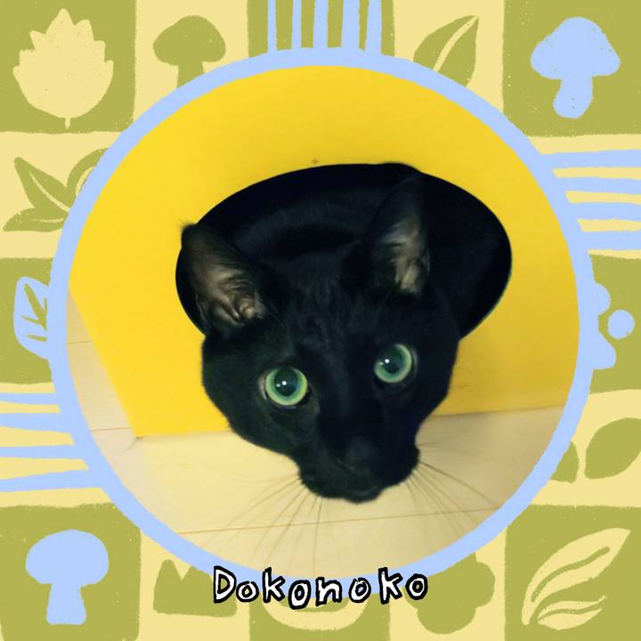 7fa27afc 9012 4d26 b862 cbfee85c4d1f 1761918154417