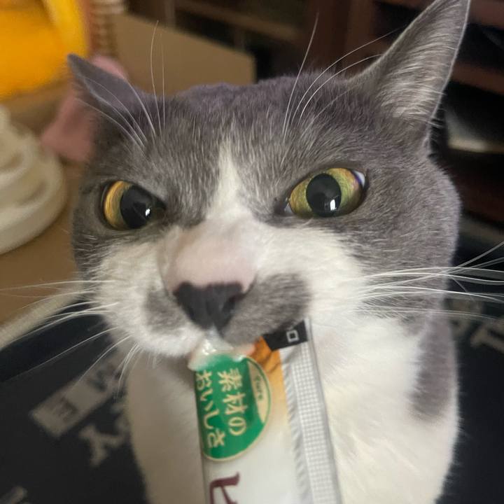 7fa2a477 7f3b 498d 8b15 dffae7d02cda 1711434640478