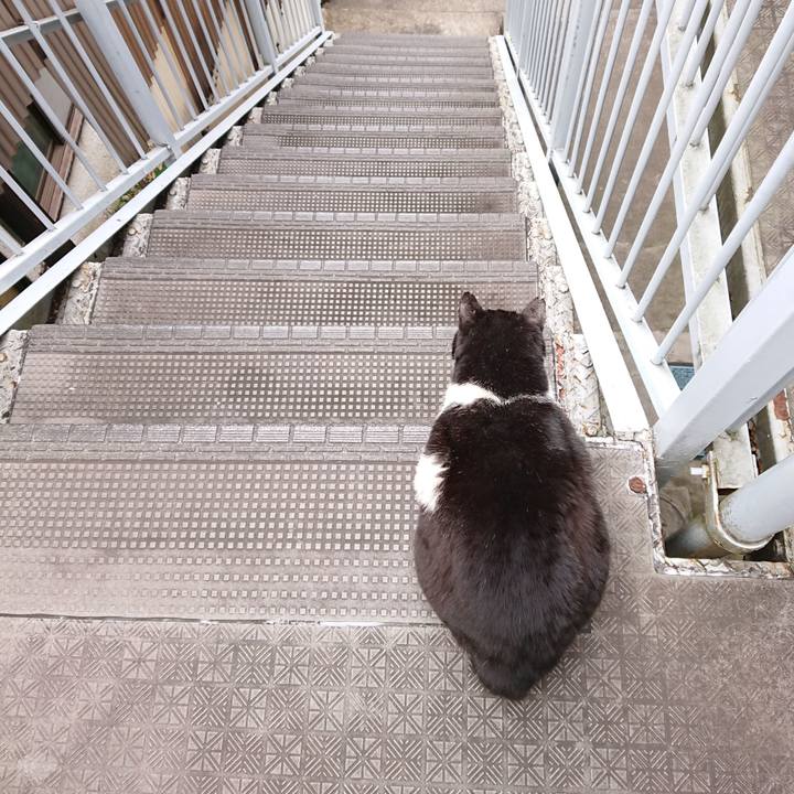 7fa2df4f 2653 46be 858d 5adf95ac3d64 1644042725172