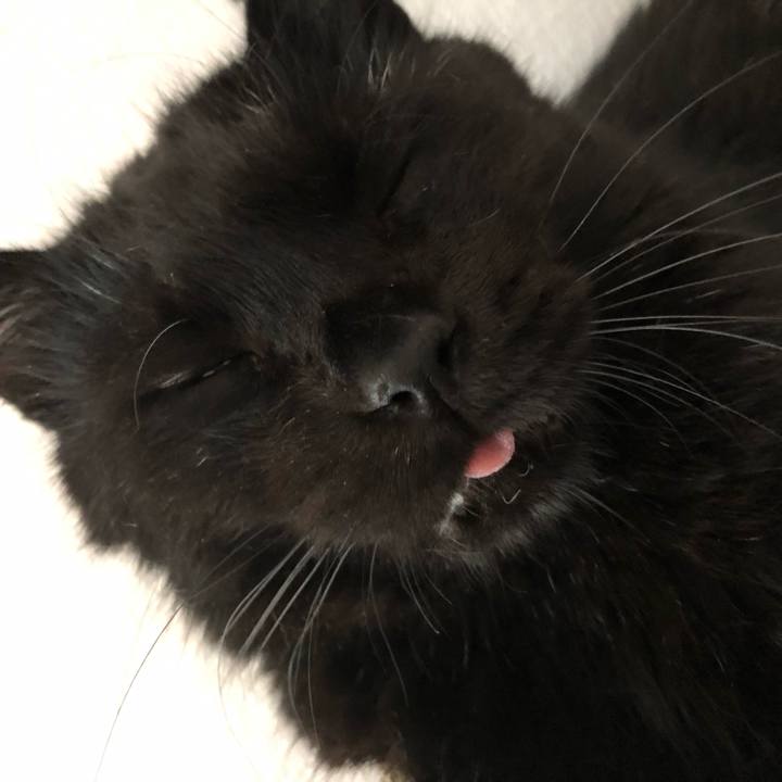 7fa2ed6b fc83 4f31 9841 550898495513 1565858459823