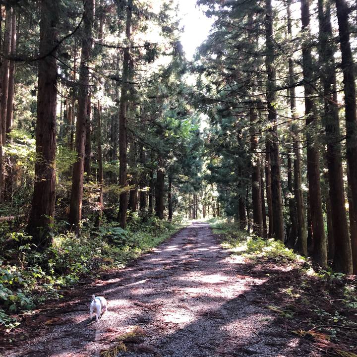 7fa31f4b 8ca7 426c bfda 96dad9192cf0 1571816796667