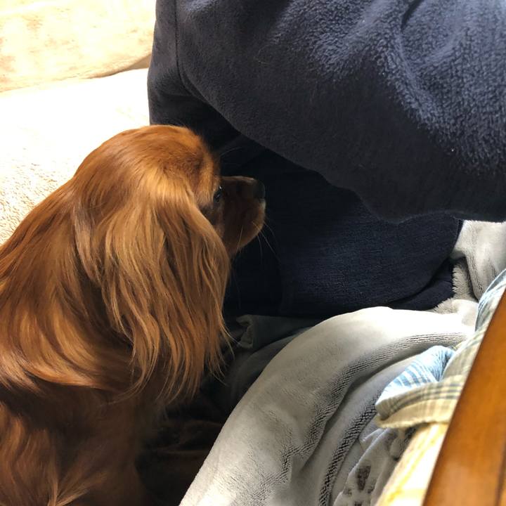 7fa32405 b29d 4da4 b836 66302955221a 1552085224622