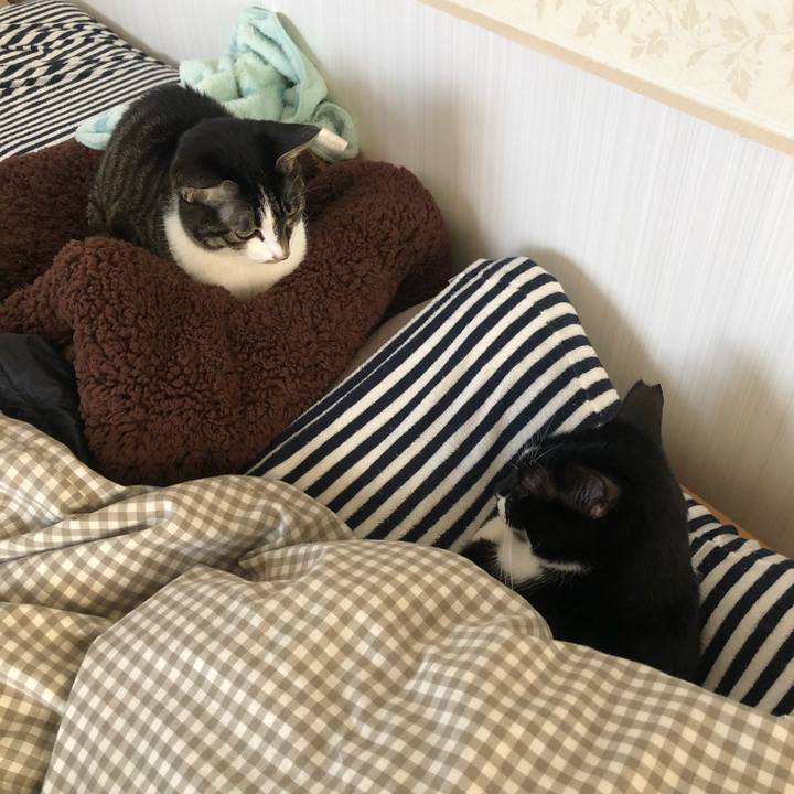 7fa3363f e6ff 4a46 a8b2 14710fe3e898 1608291989609